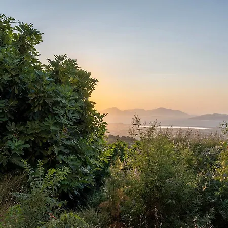 Archangel's Nest- Wings & Hideaway Asfendioú